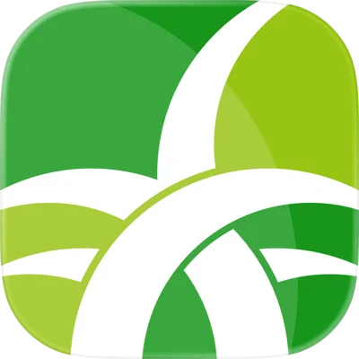 野草助手电视版