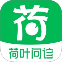 荷叶问诊最新版本