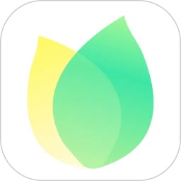 飞火动态壁纸手机版