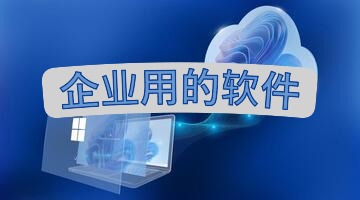 企业用的软件