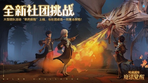 哈利波特魔法觉醒截图5