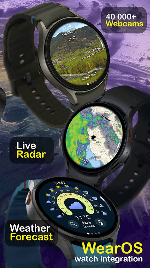 ventusky中文版截图2