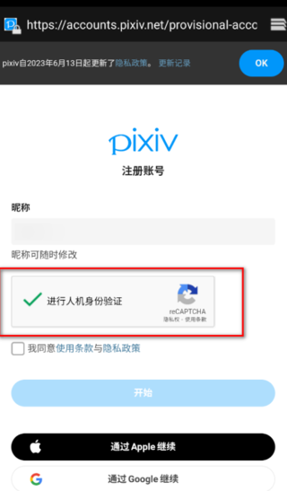 pixiv安装包
