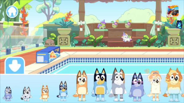 布鲁伊一起玩吧图片2