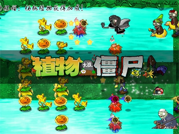 植物大战僵尸杨桃版