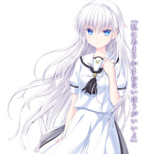 夏日口袋手机版