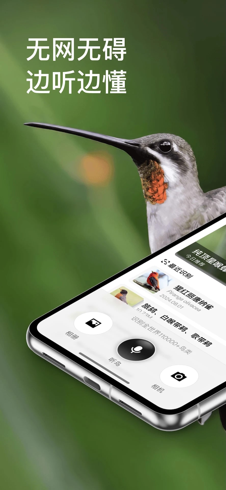 懂鸟安卓版截图1
