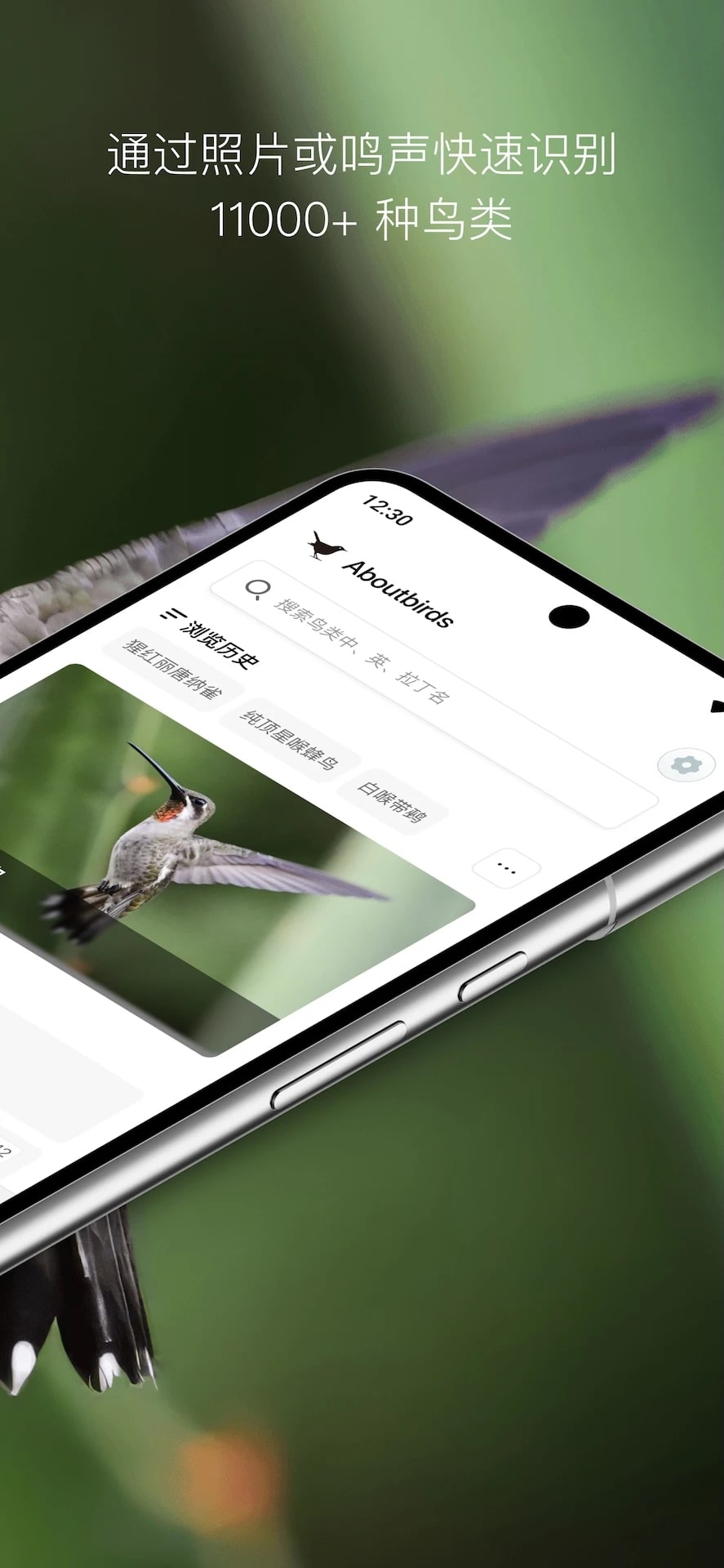 懂鸟安卓版截图2