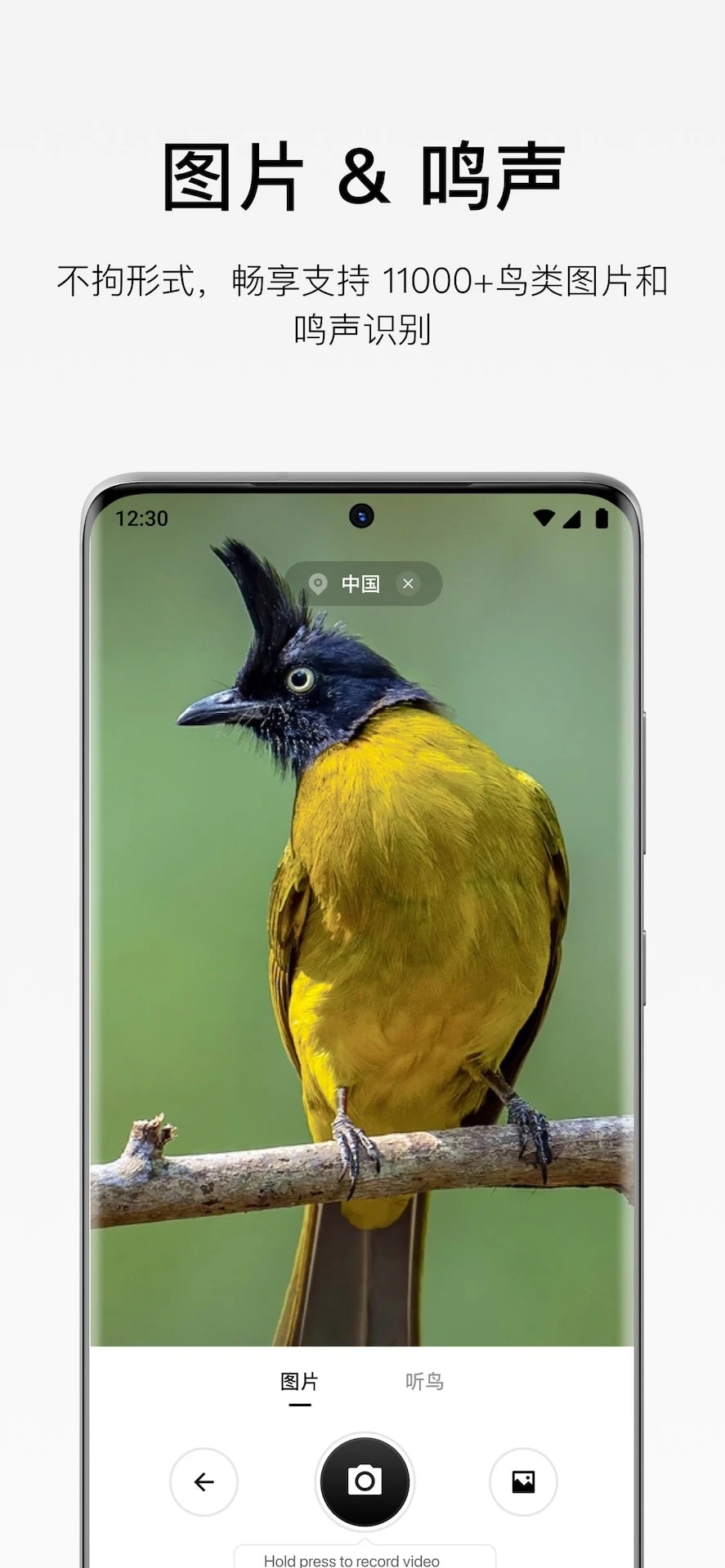 懂鸟安卓版截图3