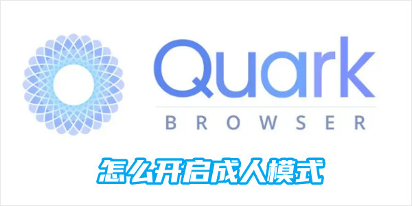 夸克浏览器成人模式开启 夸克浏览器成人模式开启