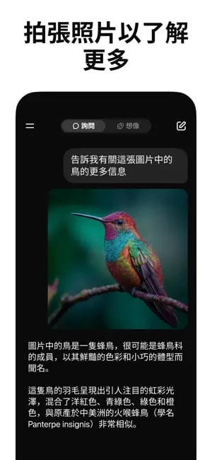 grok4.1截图3